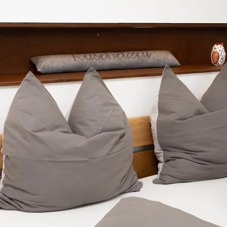 Villa Luxus-anwesen Mit Charme - Ganzes Haus Mit Garten Koblach