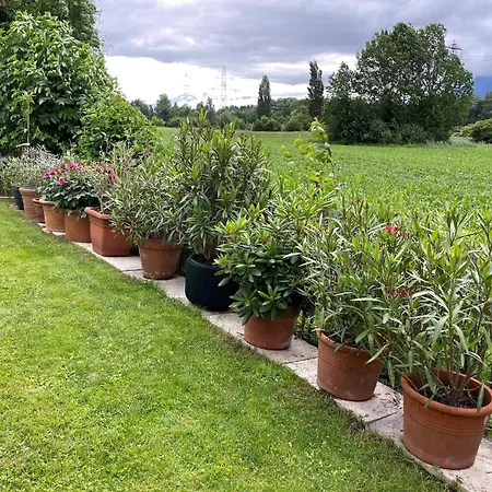 ヴィラ Luxus-anwesen Mit Charme - Ganzes Haus Mit Garten